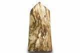 Colorful, Polished Petrified Wood Tower - Madagascar #318477-1